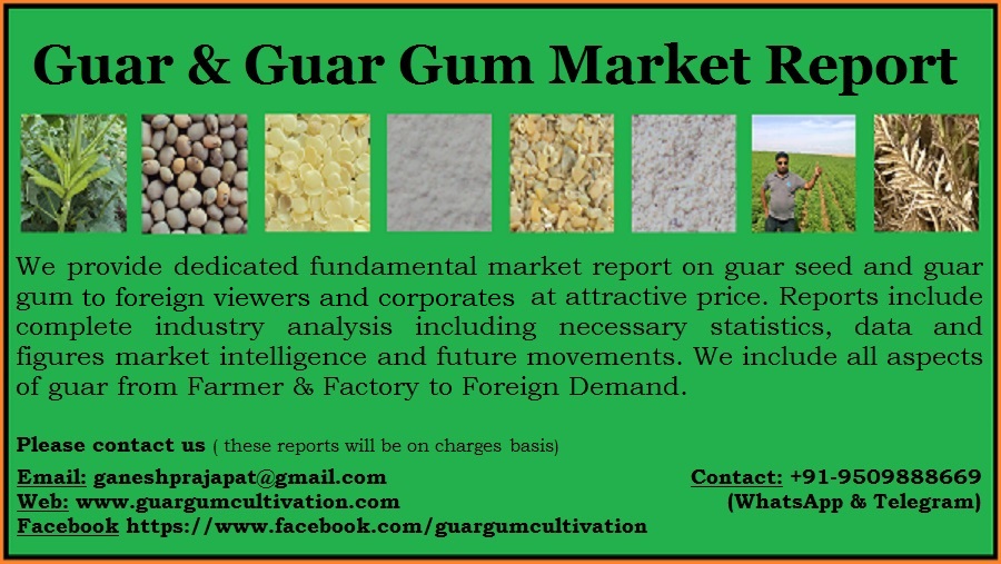 GUAR GUM INFORMATION AND GUAR GUM CULTIVATION IN INDIA Will bubble of