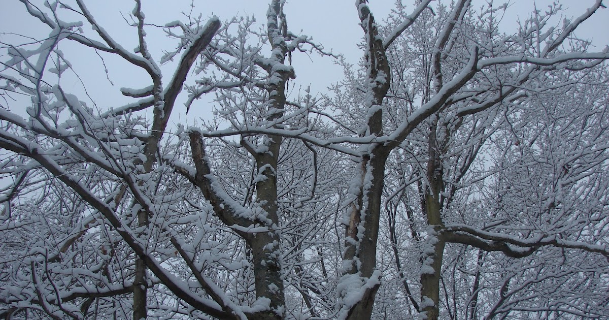Pymatuning Photo Gallery: WINTER ON PYMATUNING LAKE