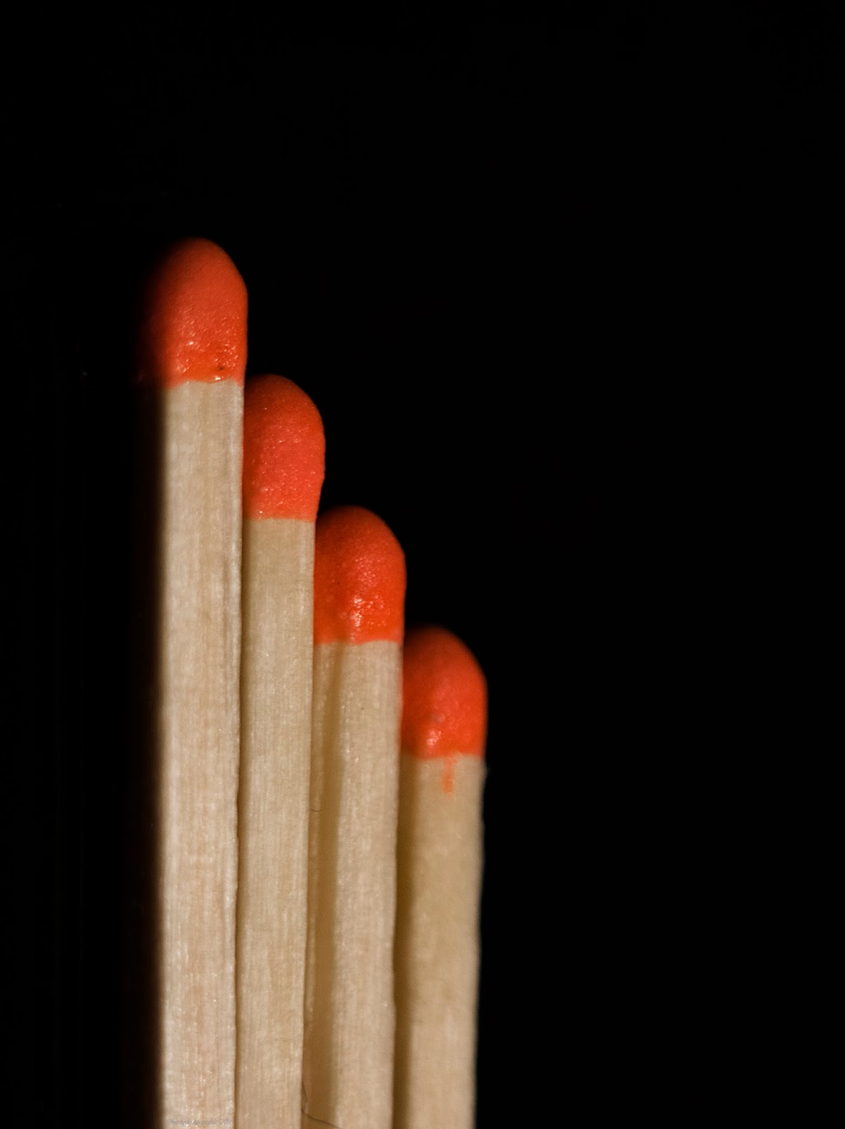A Picture a Day: Day 28 Imperfect Match A Picture a Day: Day 28 Imperfect Match