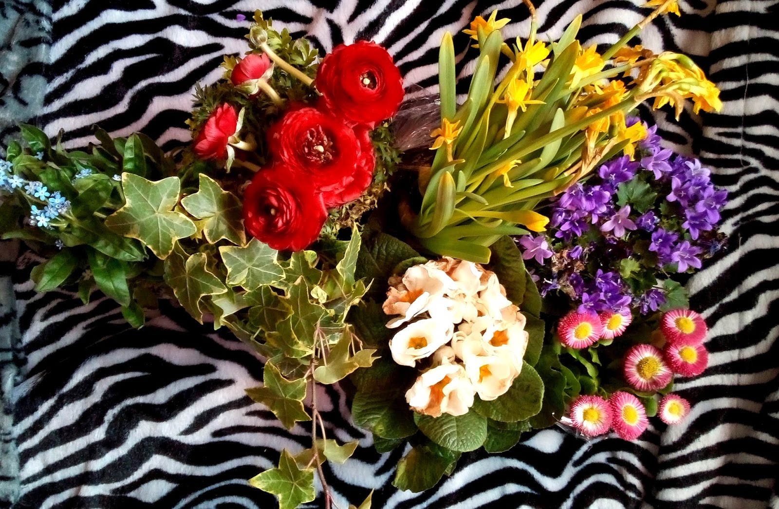 Lucy Und Rasselbande Testet 03 16 17