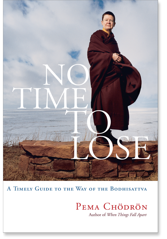 Buddhism In The West Pema Chodron Quotes No Time To Lose A Timely