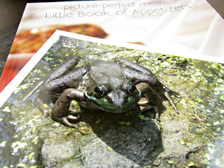 A Contest, A Cookbook and a Frog Named Ambrose