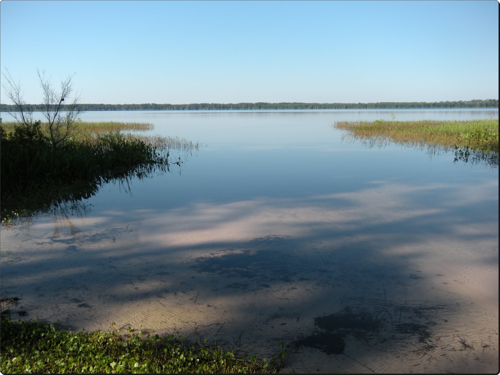 Our Adventures with "Josie" Ocean Pond, Olustee Florida
