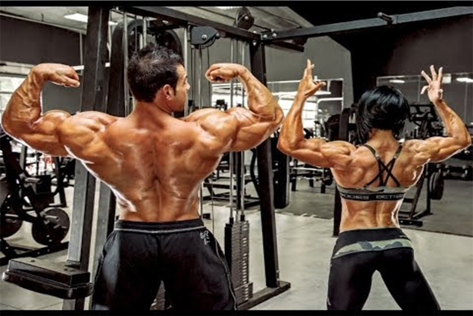 November 2015 Workout Bodybuilding stretch bands