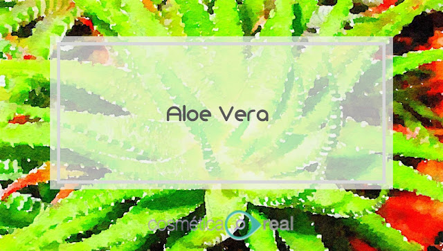 Cosmecéuticos:  Aloe Vera