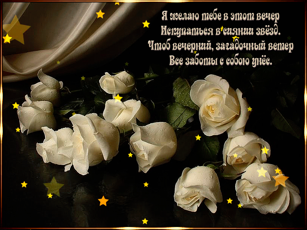 Вечерние пожелания. Цветы вечер. Добрый вечер с белыми розами. Спокойной ночи с белыми розами.
