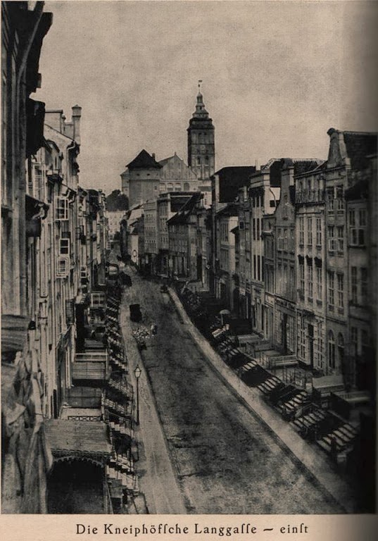 Faberlic: Закон серийности Пауля Каммерера: забытая теория совпадений