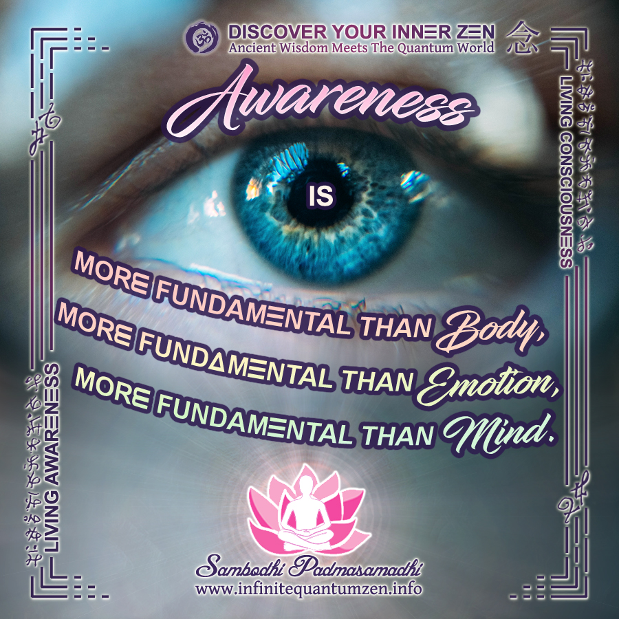 Awareness is more fundamental than body, emotion, mind - Infinite Quantum Zen, Success Life Quotes