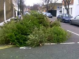 Recycling Your Christmas Trees