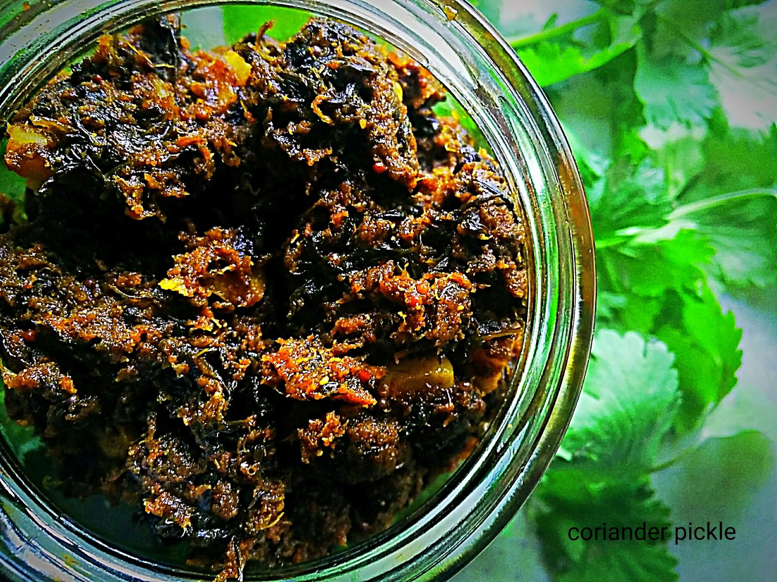 Healthy Side of Indian Cooking coriander pickle / kothimera pachadi