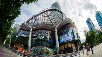 Orchard Road 