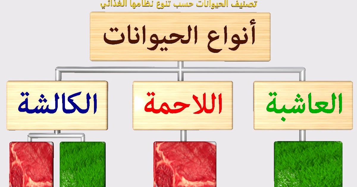 الغذاء عند الحيوانات