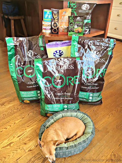 Senior Grain Free Wet Dog Food Senior Grain Free Wet Dog Food