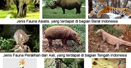 Jenis Dan Ciri Flora Fauna Peralihan Blog Burung Kicauan