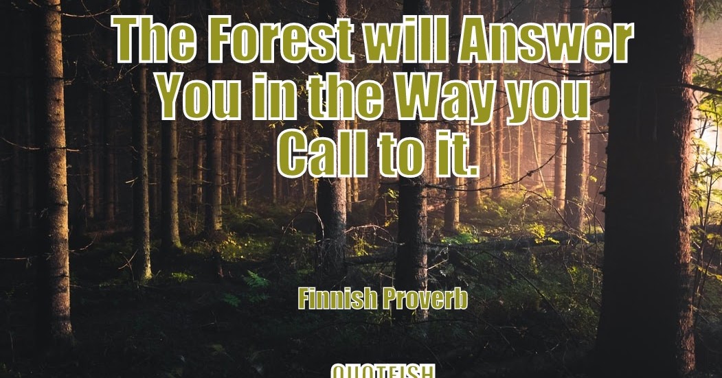 30+ Forest Quotes - QUOTEISH
