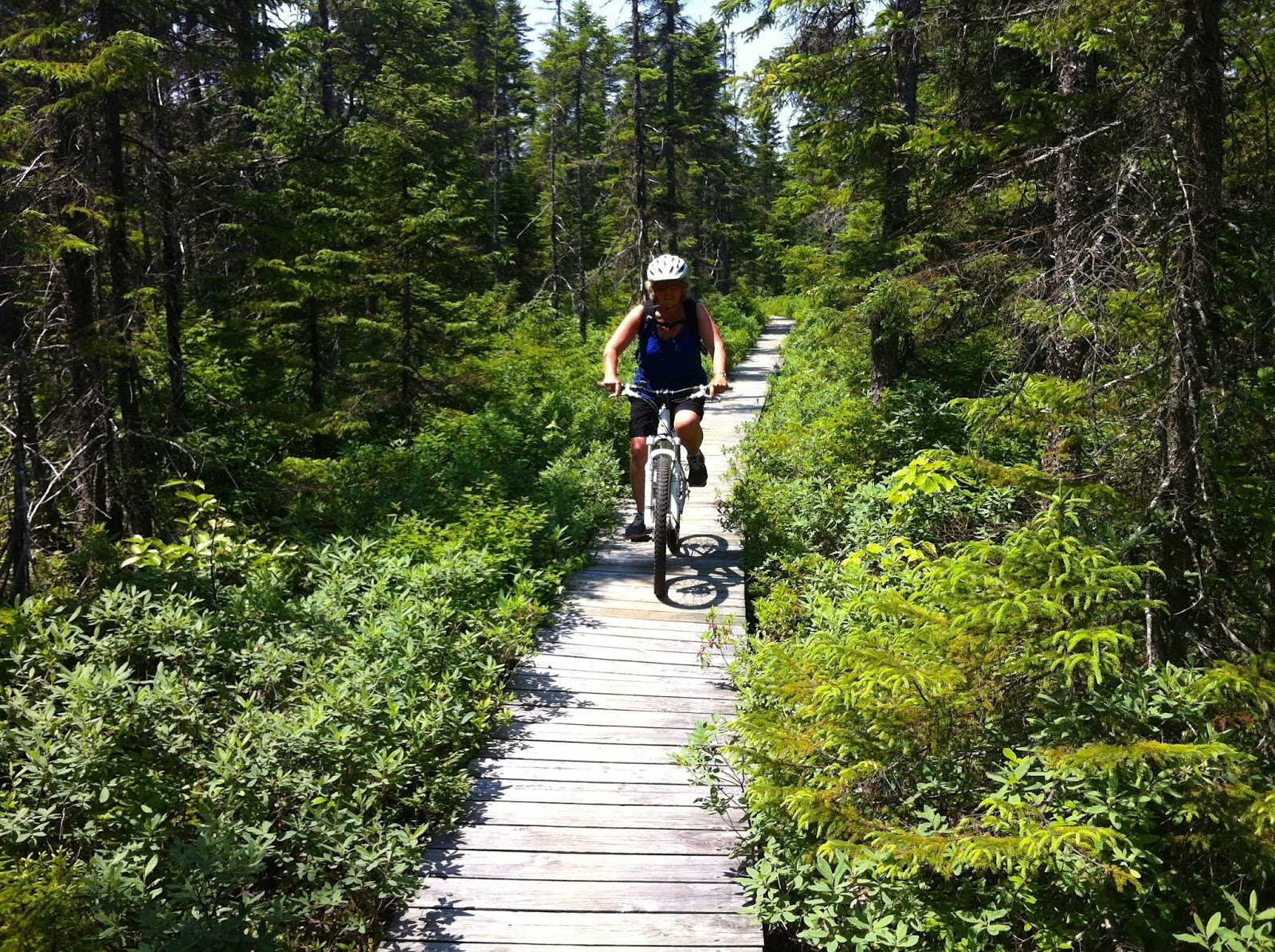 Across the Country to the Maritimes Day 17 Parc Kouchibouguac once