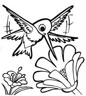 beija flores 25 desenhos para colorir imprimir 05 de outubro dia