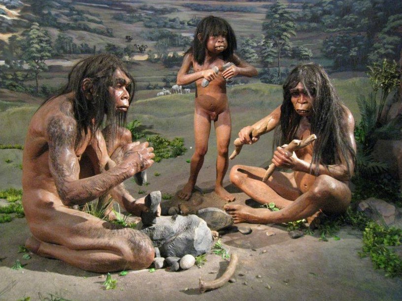 Fakta-Fakta Unik Tentang Indonesia manusia apruba Pithecantropus Erectus Fakta-Fakta Unik Tentang Indonesia