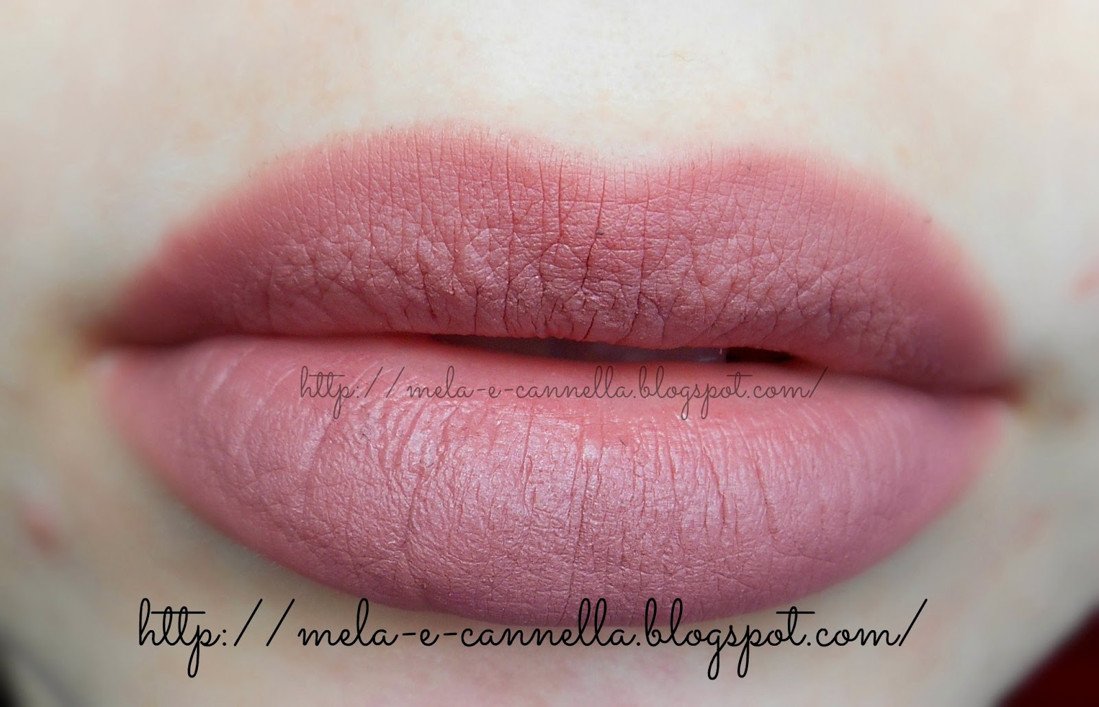melaecannella Farmasi lip pencil 203