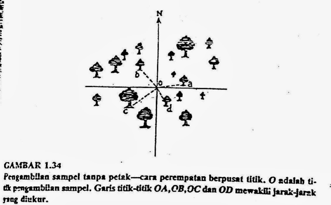 ibiolife: Metode mengambil Sampel Tumbuhan