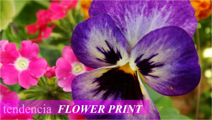 Tendencias Primavera 2013 - Flower Print