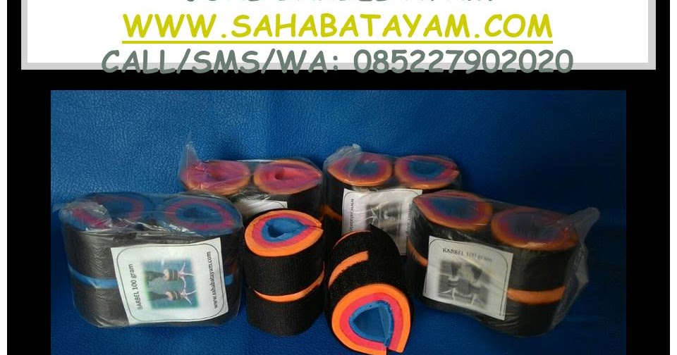 Grosir Barbel Ayam, Suplayer Barbel Ayam, Agen Barbel Ayam, Distributor