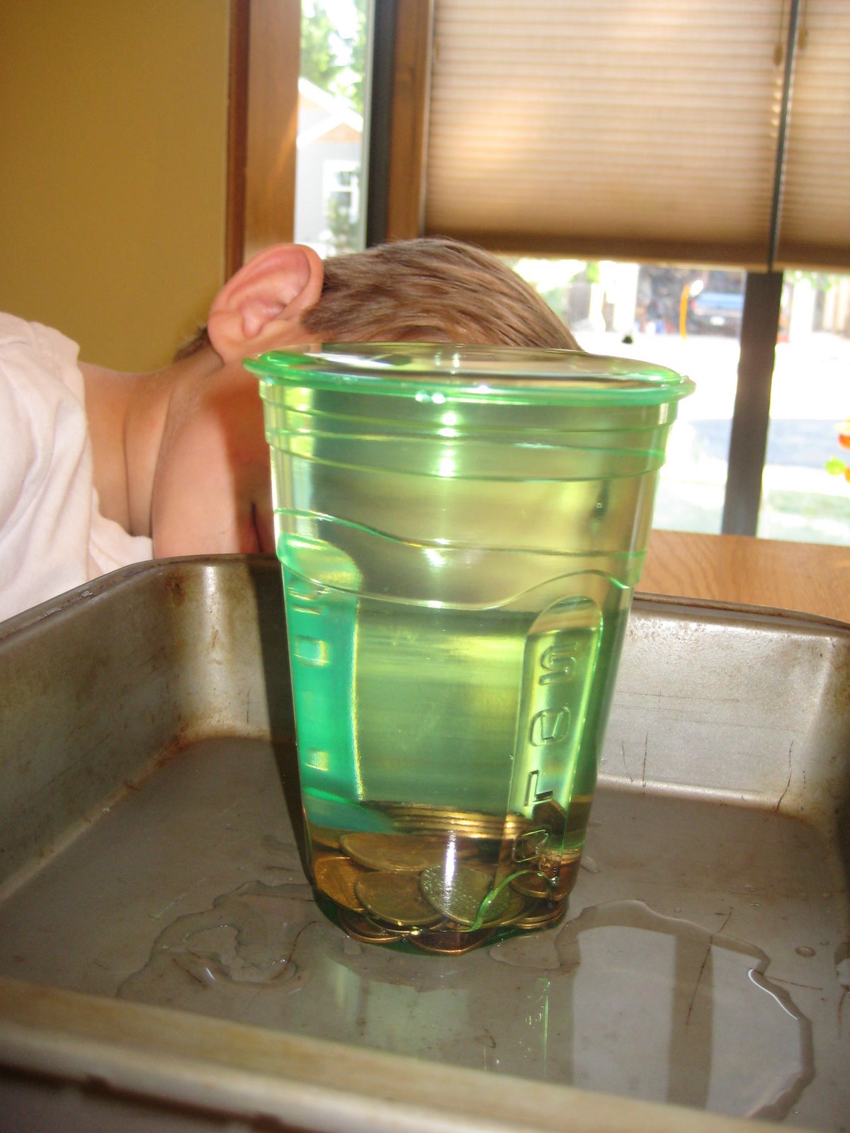 Curious Kids Pennies in Water
