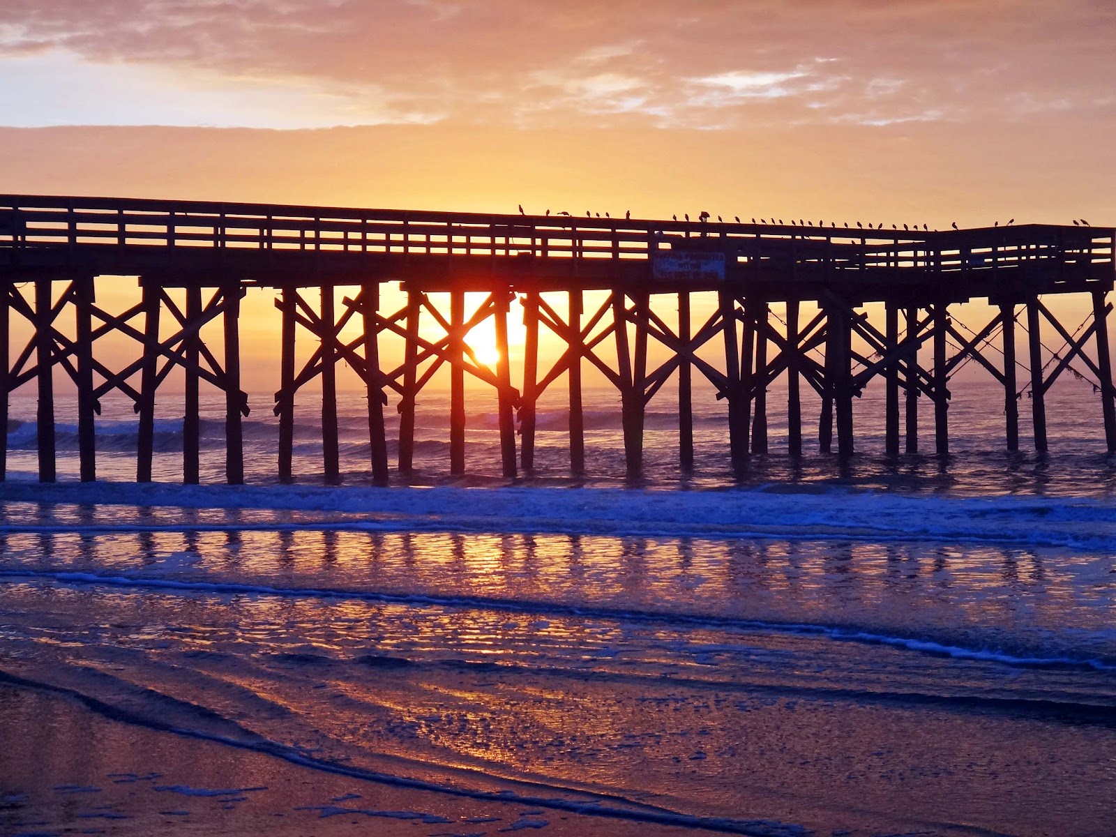 Joe's Retirement Blog Last Look, Isle of Palms, South Carolina, USA