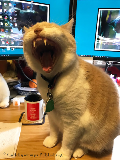 Real Cat Webster yawns