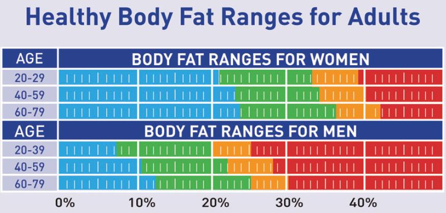 Healthy Body Fat Ranges 63