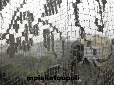 the window9