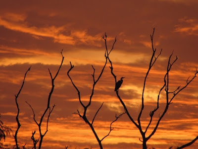 TRAVEL AND LEISURE IN BORNEO: SUNSET: Benefits of watching