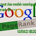 Cara Cepat dan Mudah Mendapatkan PageRank 1-10 di Google