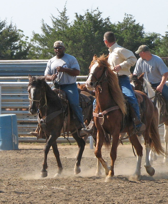 Mustang Dreams.... Wild Horse Program at the Hutchinson, KS