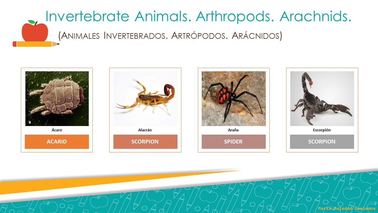 Cultura y TIC: INGLÉS. VOCABULARY. INVERTEBRATE ANIMALS (ANIMALES