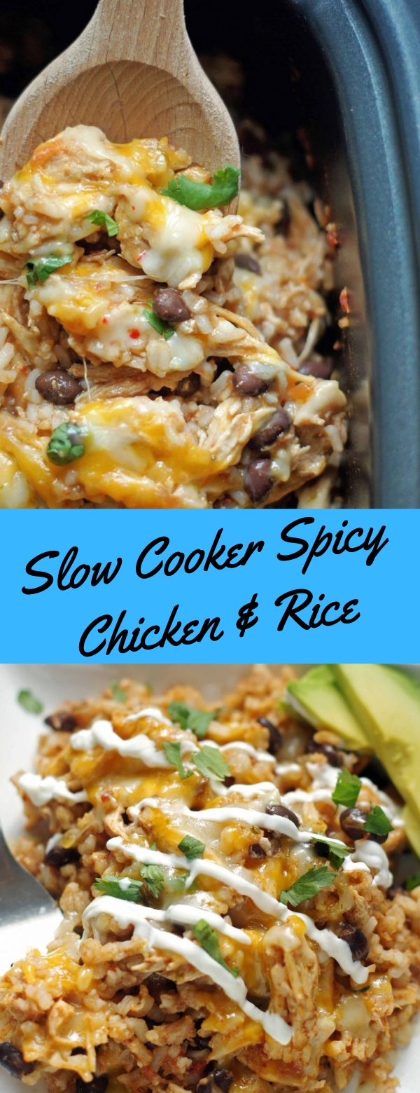 rovieshone food recipes : Slow Cooker Spicy Chicken & Rice