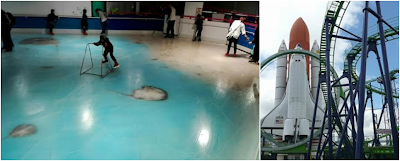 1a2 Amusement Park to hold memorial service after freezing 5000 fishes for 'fun'