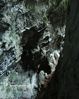 gua mimpi bantimurung