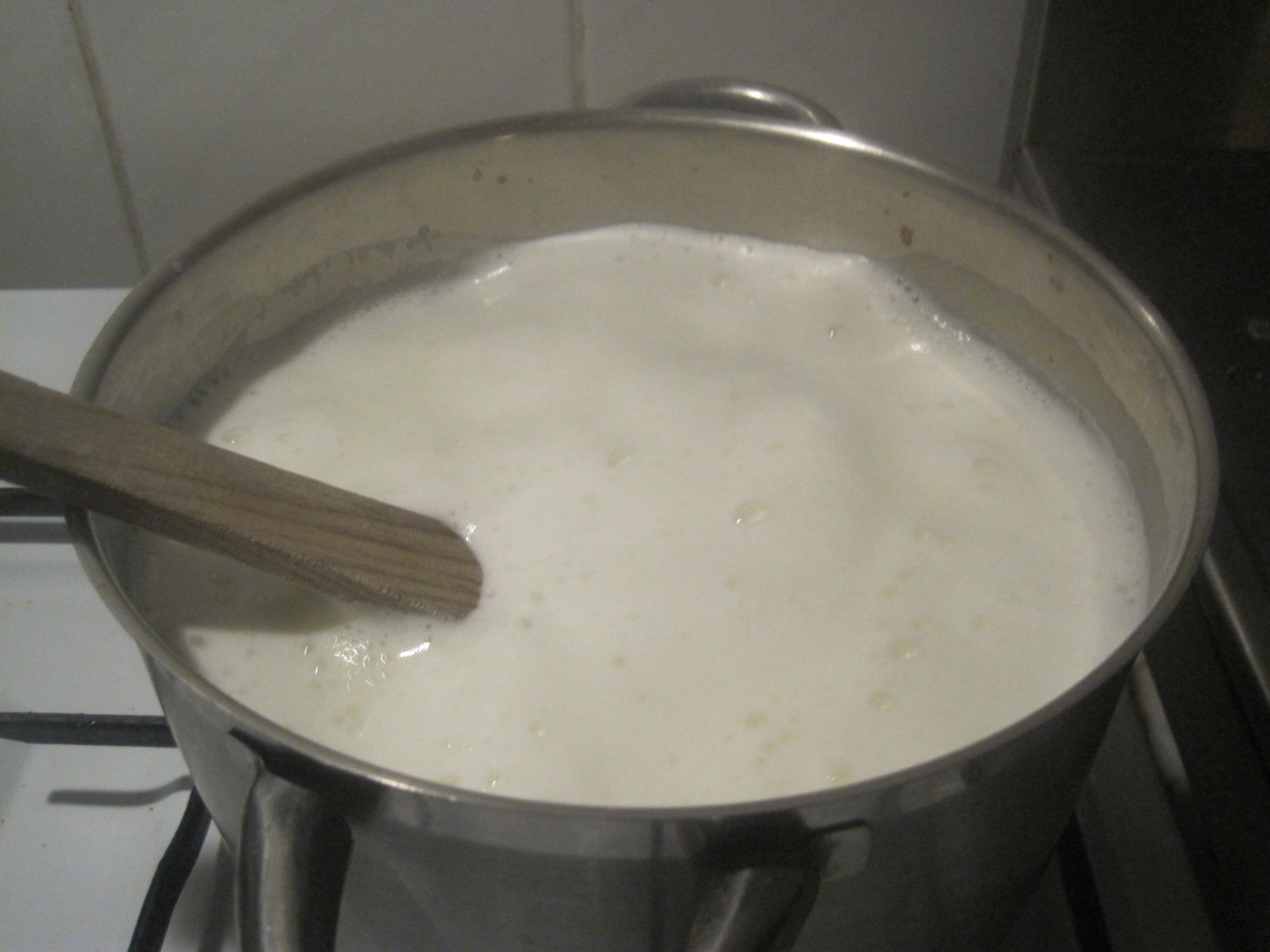 Mozzarella selbst gemacht – glatzkoch.de