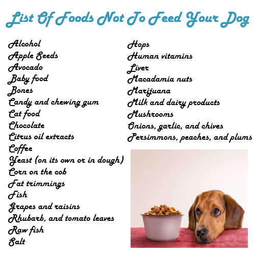 What Dog Food Cause Bad Breath What Dog Food Cause Bad Breath