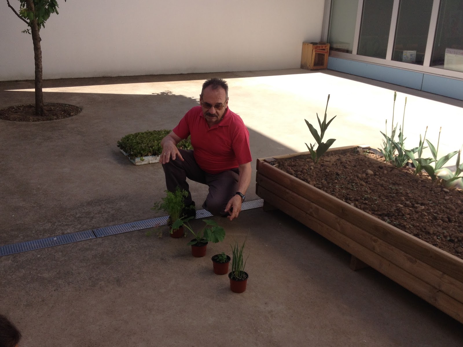 El Villaquiblog Siembra de mayo con los abuelos y algunas mamás