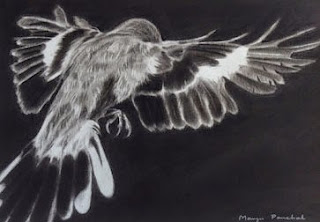 Charcoal drawing of a bird in flight by Manju Panchal