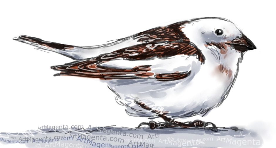 En fågelmålning av en snösparv från Artmagentas svenska galleri om fåglar