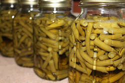 canning dried beans pressure cooker 1