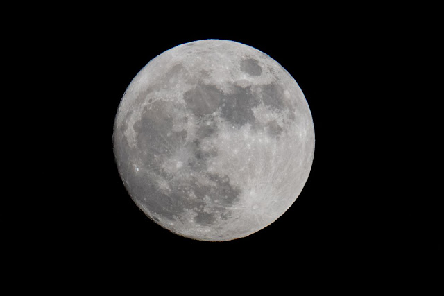 Moon Moon