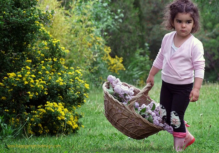 Decoración cumple jardín: lilares