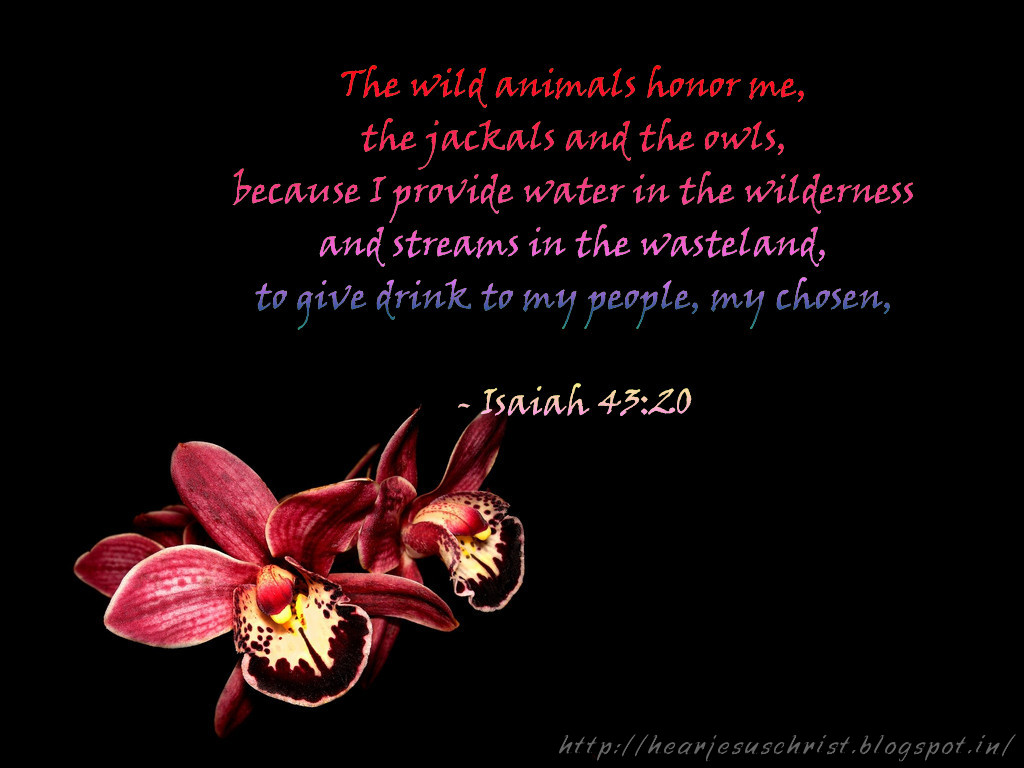 christian-wallpapers-bible-verse-wallpaper-isaiah-43-20