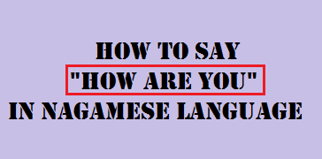 How to Say "How are you" in Nagamese Language