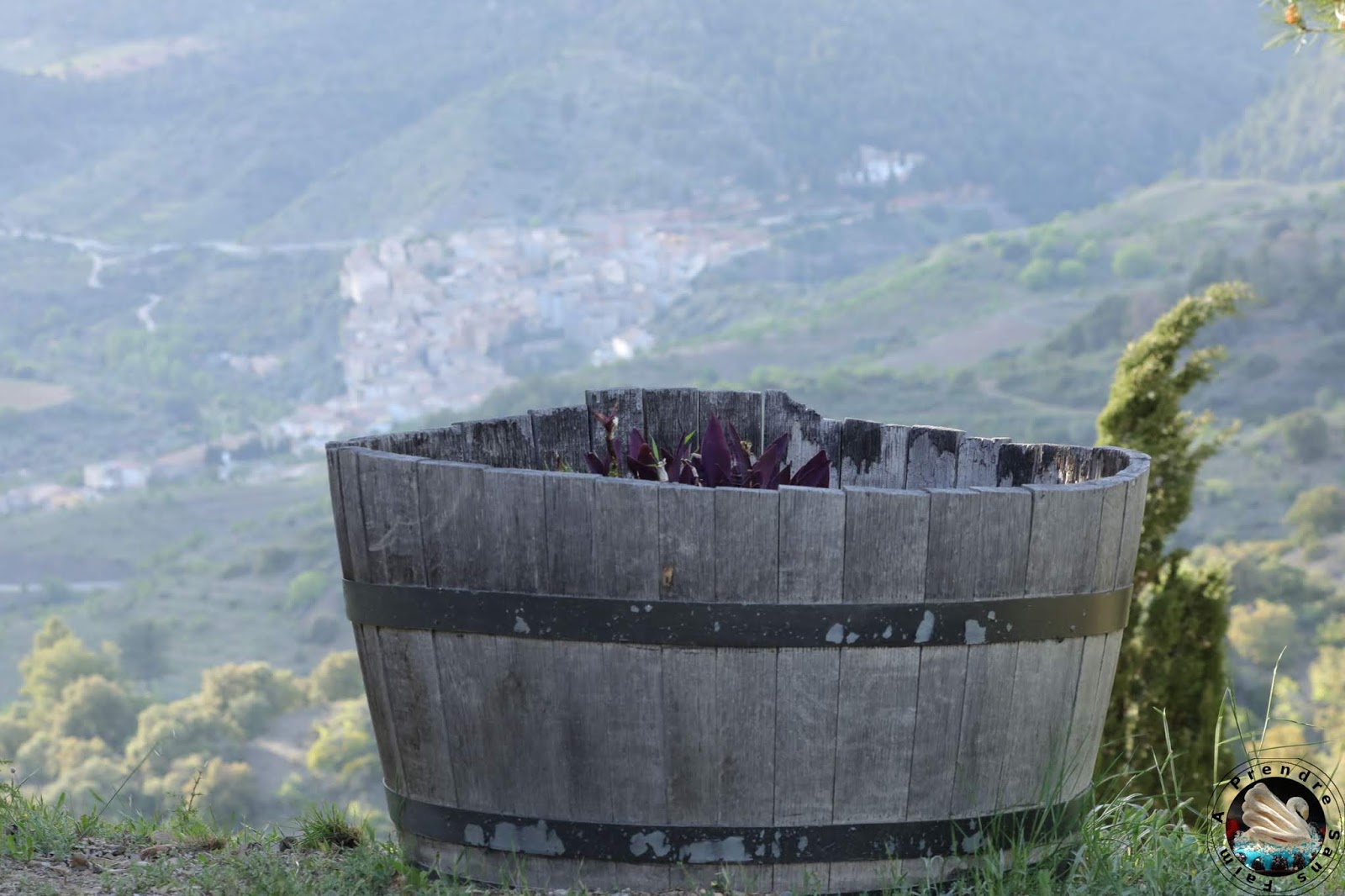 Le vignoble d'Alvaro Palacios : admirer les paysages à l'origine de son vin L'Ermita