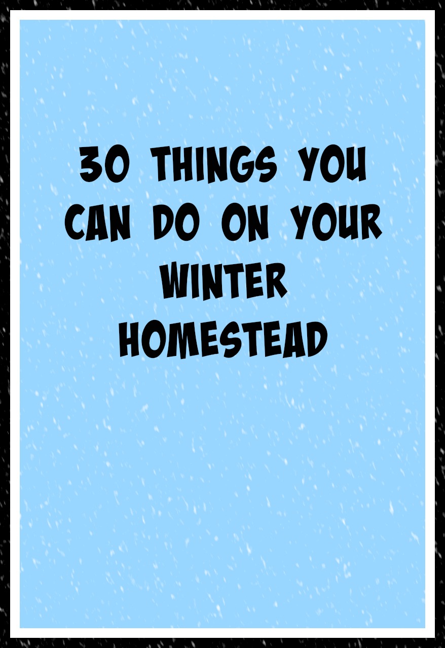 30 Things You Can Do On Your Winter Homestead - Living Life in Rural Iowa